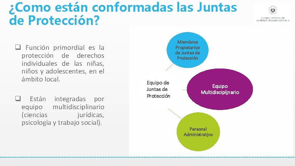 ¿Como están conformadas las Juntas de Protección? q Función primordial es la protección de