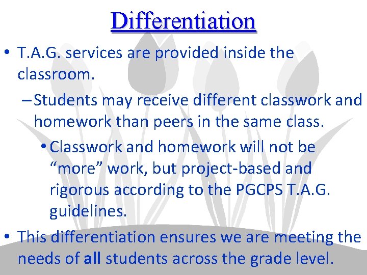 Differentiation • T. A. G. services are provided inside the classroom. – Students may