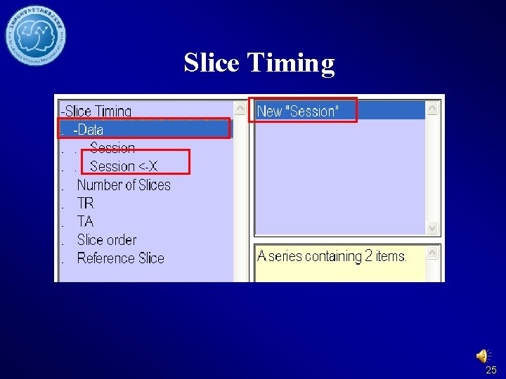 Slice Timing 25 