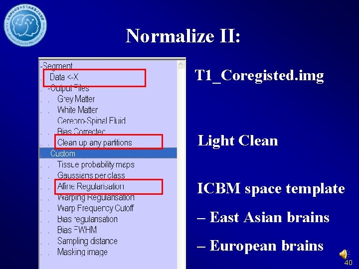 Normalize II: T 1_Coregisted. img Light Clean ICBM space template – East Asian brains