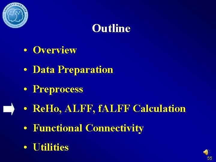 Outline • Overview • Data Preparation • Preprocess • Re. Ho, ALFF, f. ALFF