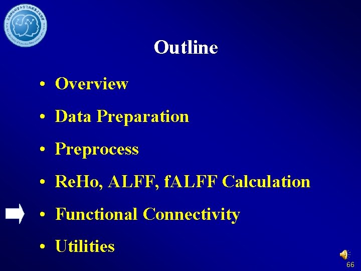 Outline • Overview • Data Preparation • Preprocess • Re. Ho, ALFF, f. ALFF