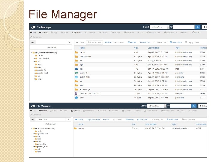 File Manager 