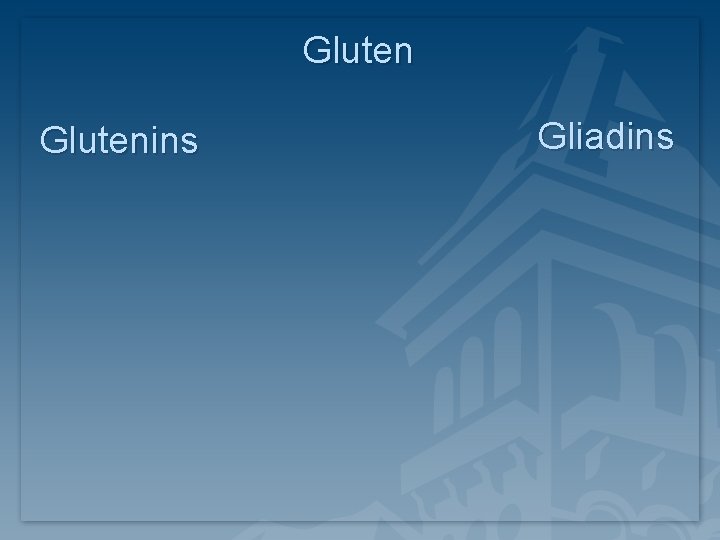 Glutenins Gliadins Glutenins Gliadins