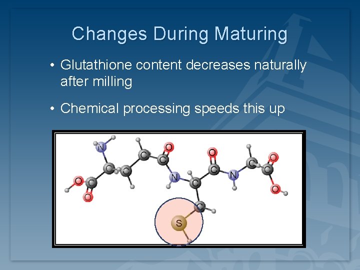 Changes During Maturing • Glutathione content decreases naturally after milling • Chemical processing speeds Changes During Maturing • Glutathione content decreases naturally after milling • Chemical processing speeds