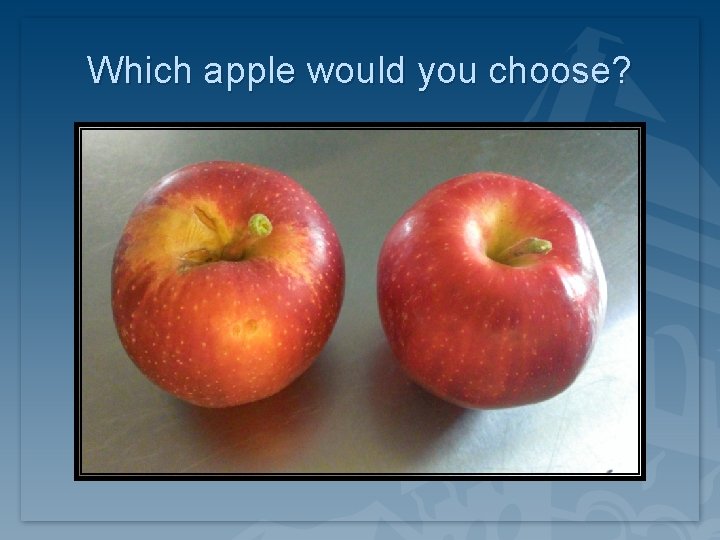 Which apple would you choose? Which apple would you choose?