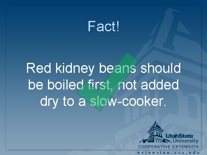 Fact! Red kidney beans should be boiled first, not added dry to a slow-cooker. Fact! Red kidney beans should be boiled first, not added dry to a slow-cooker.