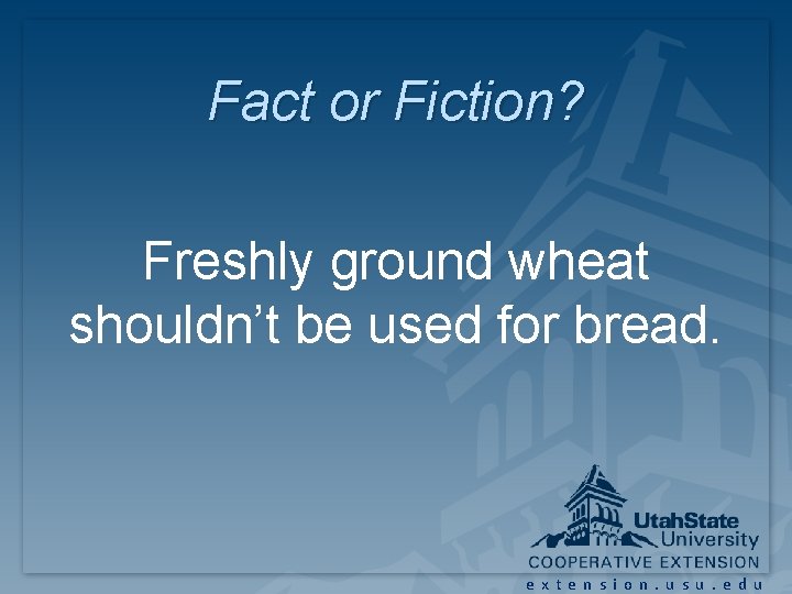Fact or Fiction? Freshly ground wheat shouldn’t be used for bread. extension. usu. edu Fact or Fiction? Freshly ground wheat shouldn’t be used for bread. extension. usu. edu