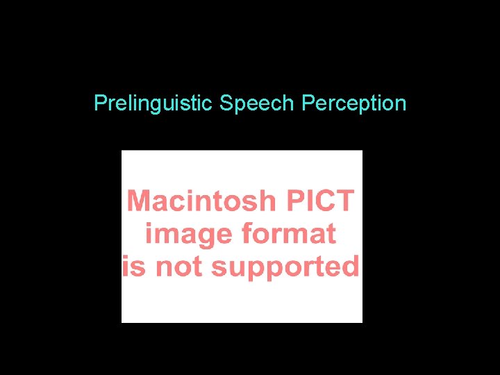 Prelinguistic Speech Perception 