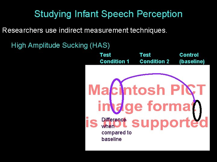 Studying Infant Speech Perception Researchers use indirect measurement techniques. High Amplitude Sucking (HAS) Test
