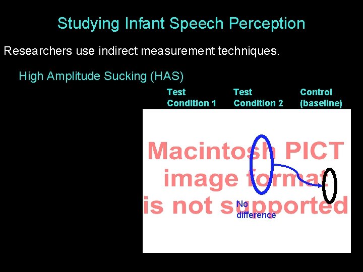 Studying Infant Speech Perception Researchers use indirect measurement techniques. High Amplitude Sucking (HAS) Test