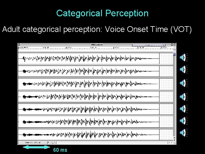 Categorical Perception Adult categorical perception: Voice Onset Time (VOT) 60 ms 