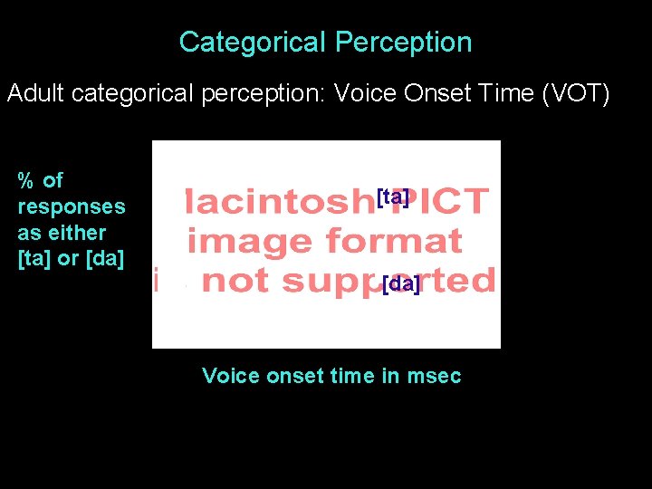 Categorical Perception Adult categorical perception: Voice Onset Time (VOT) % of responses as either