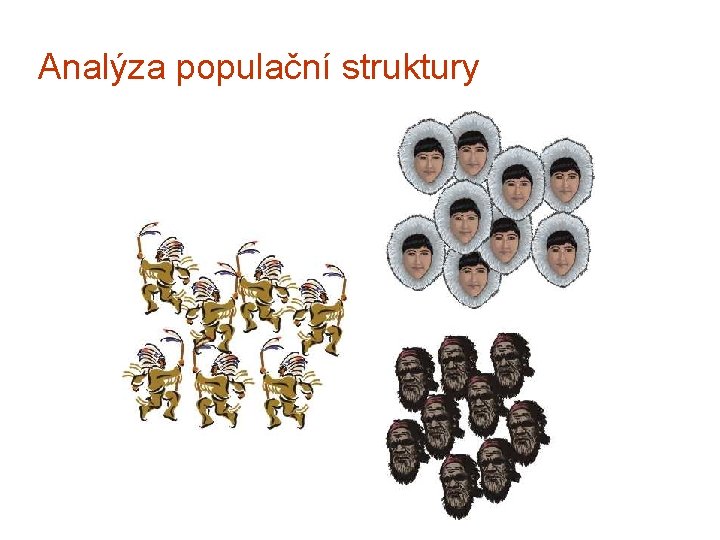 Analýza populační struktury 