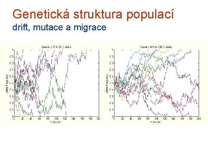 Genetická struktura populací drift, mutace a migrace 