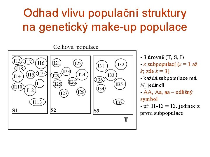 Odhad vlivu populační struktury na genetický make-up populace • 3 úrovně (T, S, I)