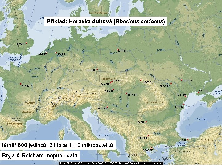 Příklad: Hořavka duhová (Rhodeus sericeus) 4 -WIF 5 -POL 14 -NET 13 -RHI 3