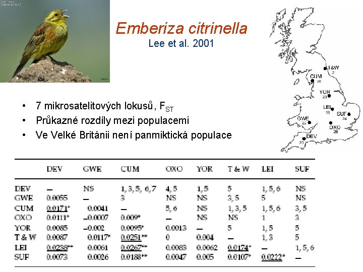 Emberiza citrinella Lee et al. 2001 • 7 mikrosatelitových lokusů, FST • Průkazné rozdíly