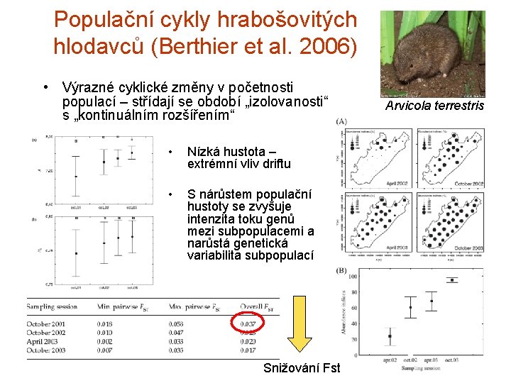 Populační cykly hrabošovitých hlodavců (Berthier et al. 2006) • Výrazné cyklické změny v početnosti