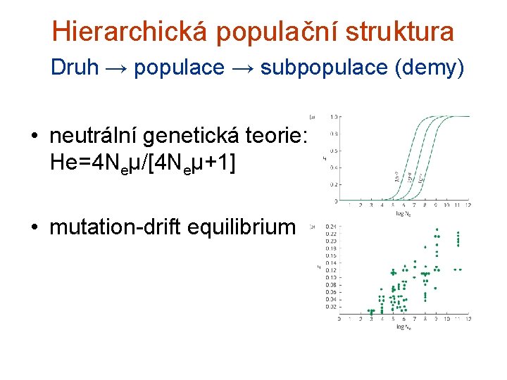 Hierarchická populační struktura Druh → populace → subpopulace (demy) • neutrální genetická teorie: He=4