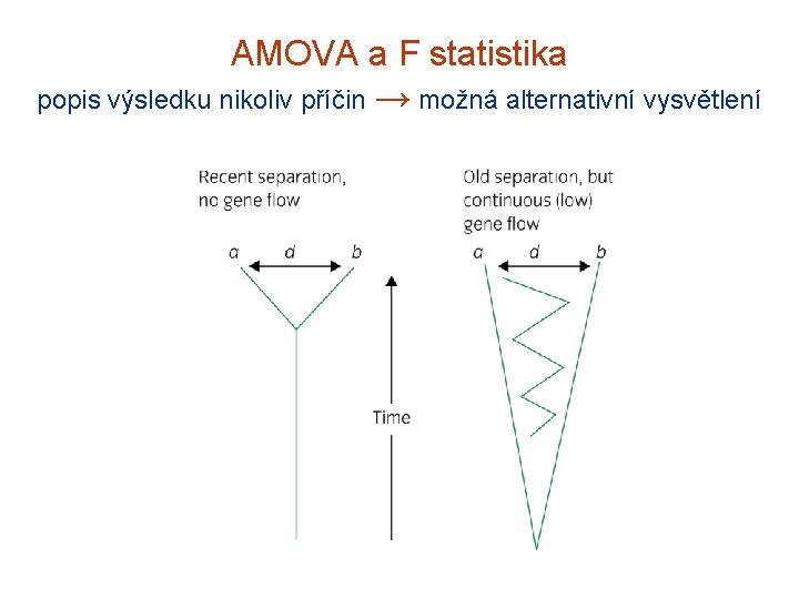 AMOVA a F statistika popis výsledku nikoliv příčin → možná alternativní vysvětlení 
