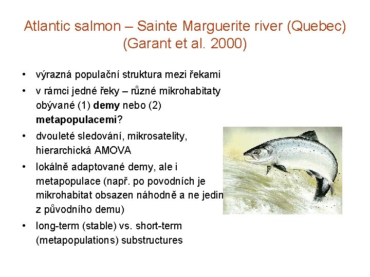 Atlantic salmon – Sainte Marguerite river (Quebec) (Garant et al. 2000) • výrazná populační