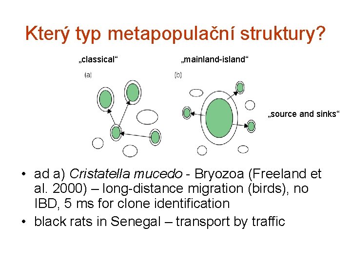 Který typ metapopulační struktury? „classical“ „mainland-island“ „source and sinks“ • ad a) Cristatella mucedo