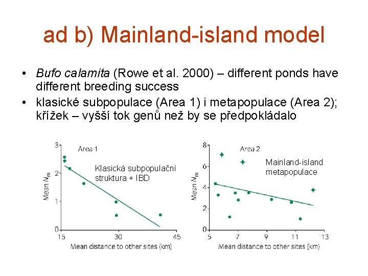 ad b) Mainland-island model • Bufo calamita (Rowe et al. 2000) – different ponds