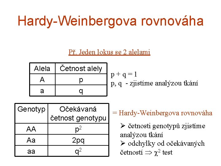 Hardy-Weinbergova rovnováha Př. Jeden lokus se 2 alelami Alela A a Genotyp AA Aa