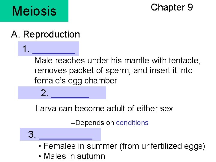 Chapter 9 Meiosis A. Reproduction 1. ____ Male reaches under his mantle with tentacle,