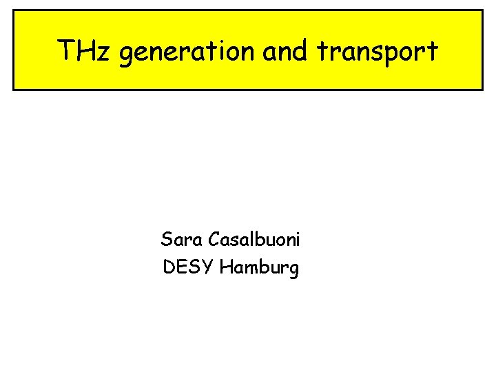 THz generation and transport Sara Casalbuoni DESY Hamburg 