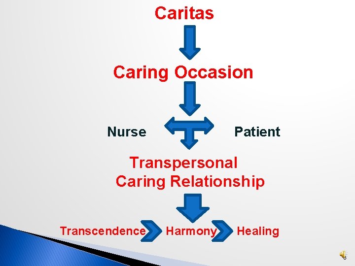 Caritas Caring Occasion Nurse Patient Transpersonal Caring Relationship Transcendence Harmony Healing 6 
