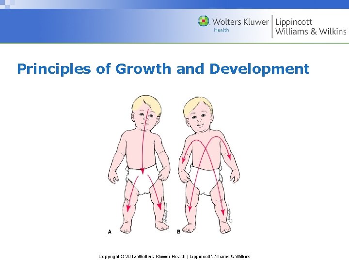 Principles of Growth and Development Copyright © 2012 Wolters Kluwer Health | Lippincott Williams