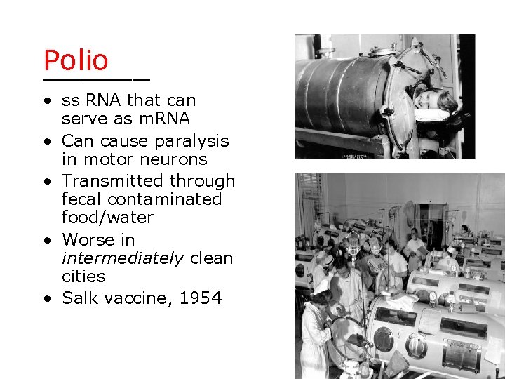 Polio ______ • ss RNA that can serve as m. RNA • Can cause