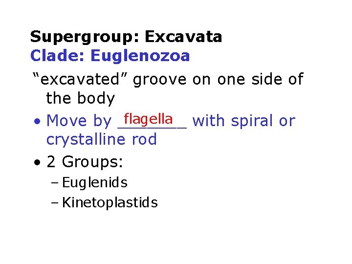 Supergroup: Excavata Clade: Euglenozoa “excavated” groove on one side of the body flagella with