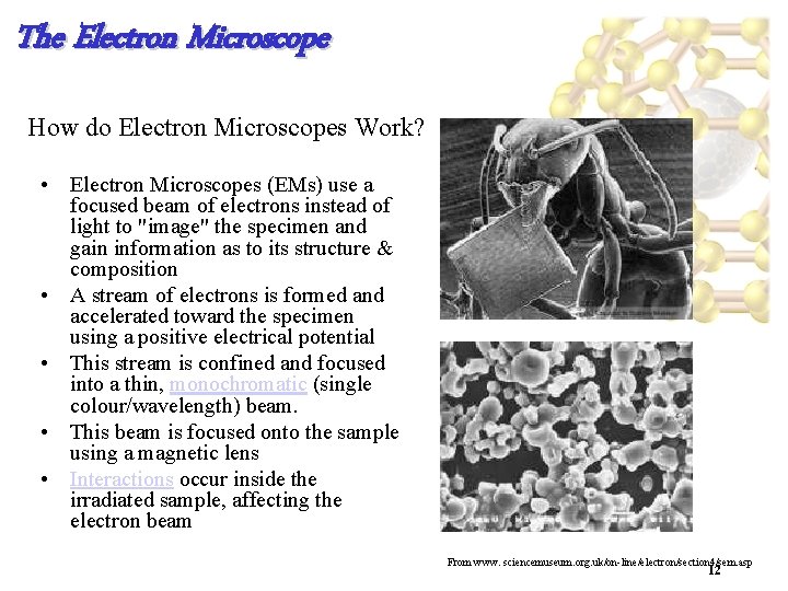 The Electron Microscope How do Electron Microscopes Work? • Electron Microscopes (EMs) use a