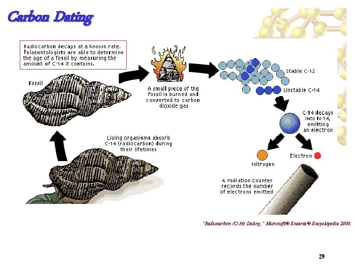 Carbon Dating "Radiocarbon (C-14) Dating, " Microsoft® Encarta® Encyclopedia 2000. 29 