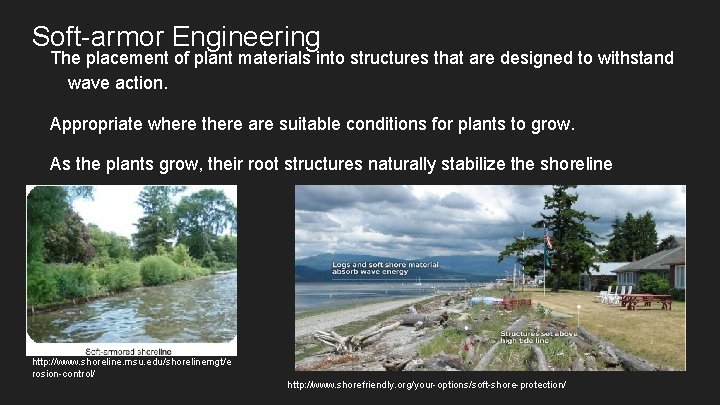 Soft-armor Engineering The placement of plant materials into structures that are designed to withstand