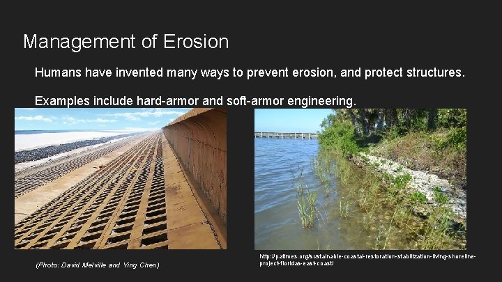 Management of Erosion Humans have invented many ways to prevent erosion, and protect structures.