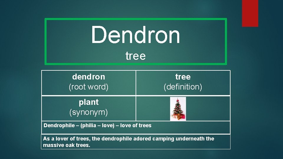 Dendron tree dendron (root word) tree (definition) plant (synonym) Dendrophile – (philia – love)