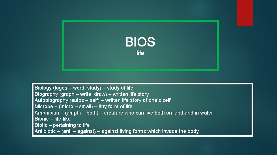 BIOS life Biology (logos – word, study) – study of life Biography (graph –