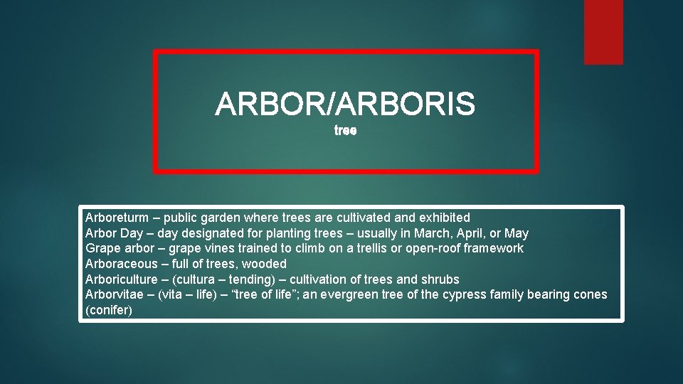 ARBOR/ARBORIS tree Arboreturm – public garden where trees are cultivated and exhibited Arbor Day