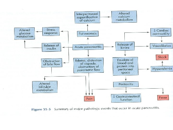 CA of the Pancreas Postoperative Care Monitor vital parameters. Check vital signs, ABG, intake CA of the Pancreas Postoperative Care Monitor vital parameters. Check vital signs, ABG, intake