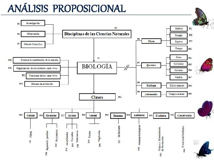 ANÁLISIS PROPOSICIONAL ANÁLISIS PROPOSICIONAL
