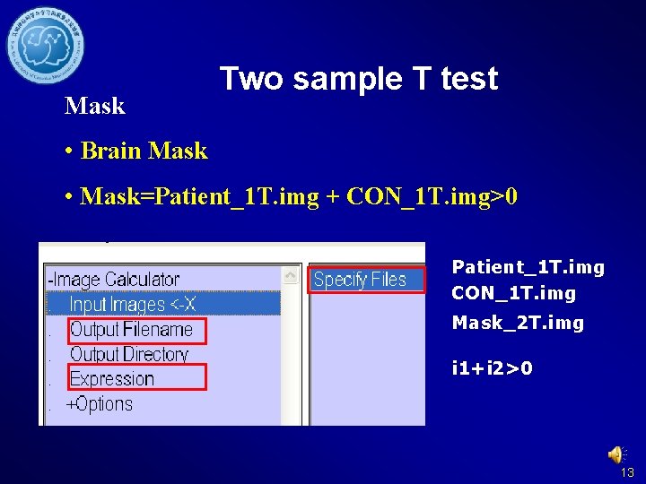 Mask Two sample T test • Brain Mask • Mask=Patient_1 T. img + CON_1