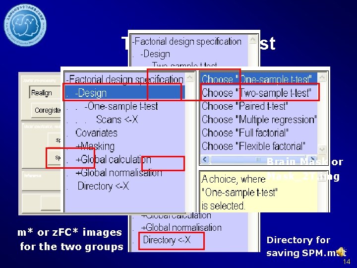 Two sample T test Brain Mask or Mask_2 T. img m* or z. FC*
