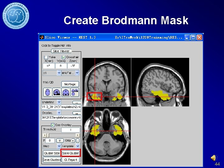 Create Brodmann Mask 44 