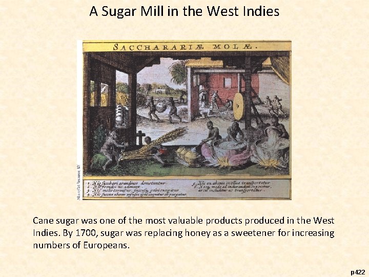 A Sugar Mill in the West Indies Cane sugar was one of the most