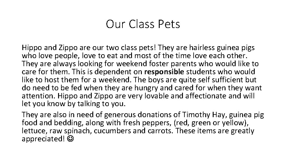Our Class Pets Hippo and Zippo are our two class pets! They are hairless