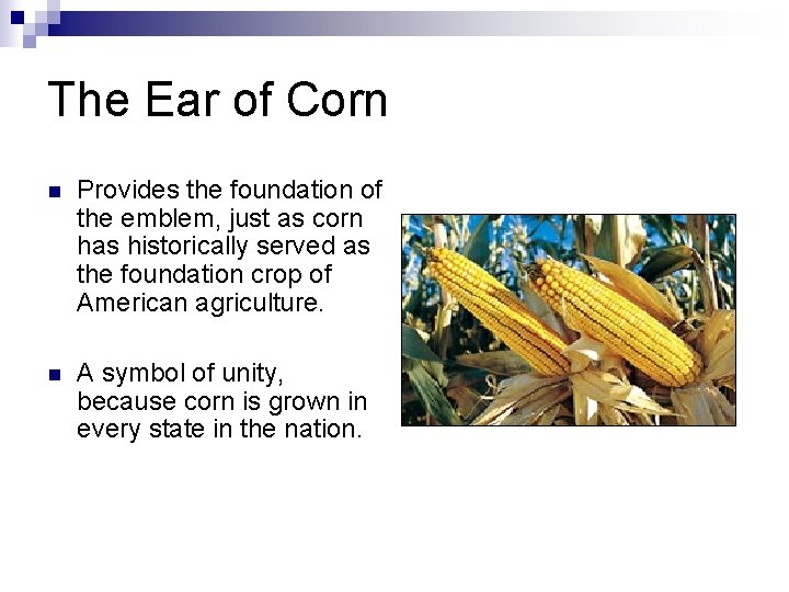 The Ear of Corn n Provides the foundation of the emblem, just as corn